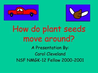 How do plant seeds move around?