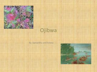 Ojibwa