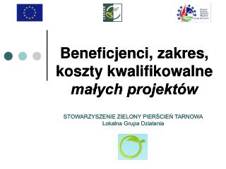 Beneficjenci, zakres, koszty kwalifikowalne małych projektów