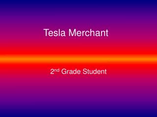 Tesla Merchant