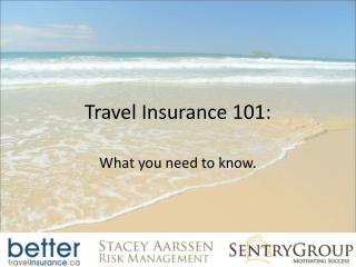 Travel Insurance 101: