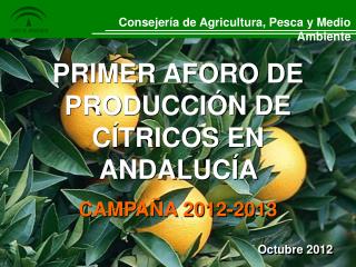 PRIMER AFORO DE PRODUCCIÓN DE CÍTRICOS EN ANDALUCÍA CAMPAÑA 2012-2013