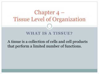 Chapter 4 – Tissue Level of Organization