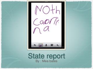 State report