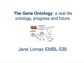 The Gene Ontology : a real-life ontology, progress and future.