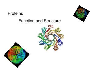 Proteins 	 Function and Structure