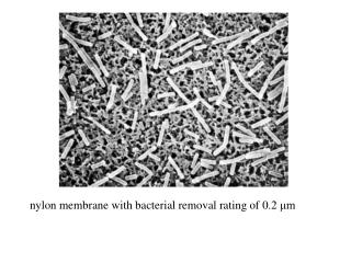 nylon membrane with bacterial removal rating of 0.2 μm
