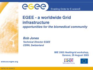 EGEE - a worldwide Grid infrastructure opportunities for the biomedical community