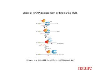 K Howan et al. Nature 000 , 1-4 (2012) doi:10.1038/nature11430