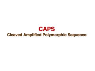 CAPS Cleaved Amplified Polymorphic Sequence