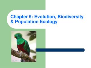 Chapter 5: Evolution, Biodiversity &amp; Population Ecology