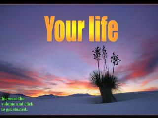 Your life