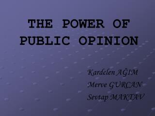 THE POWER OF PUBLIC OPINION