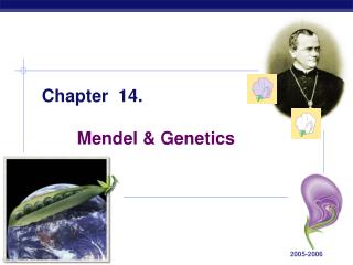 Chapter 14. 	Mendel &amp; Genetics