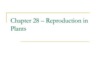 Chapter 28 – Reproduction in Plants