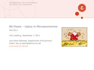 BA thesis – topics in Microeconomics