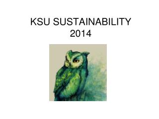 KSU SUSTAINABILITY 2014