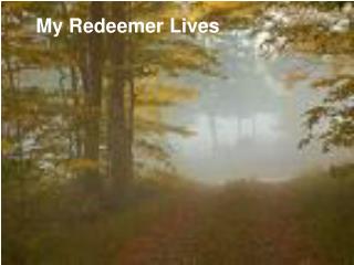 My Redeemer Lives