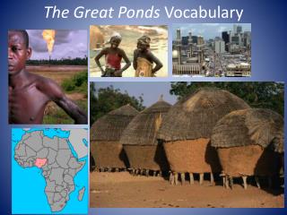 The Great Ponds Vocabulary