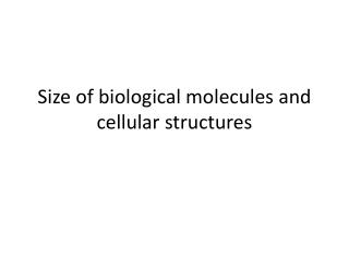 Size of biological molecules and cellular structures