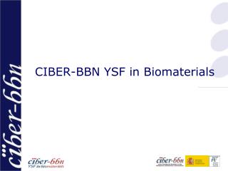 CIBER-BBN YSF in Biomaterials