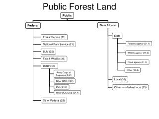 Public Forest Land