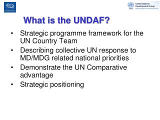 What is the UNDAF?