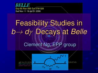 Feasibility Studies in b ! d  Decays at Belle Clement Ng, EPP group