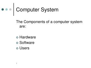 Computer System