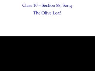 Class 10 – Section 88, Song The Olive Leaf