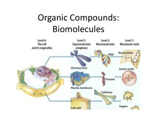 Organic Compounds: Biomolecules