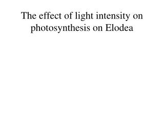 The effect of light intensity on photosynthesis on Elodea