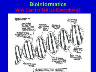 Bioinformatics Why Can’t It Tell Us Everything?