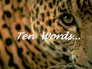 Ten Words...