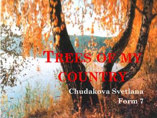 Trees of my country