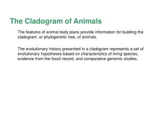 The Cladogram of Animals