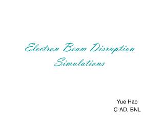 Electron Beam Disruption Simulations