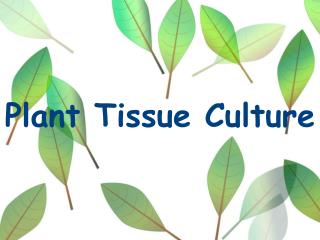 Plant Tissue Culture