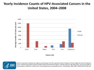HPV-Associated Vulvar Cancer Rates by Race and Ethnicity, United States, 2004–2008