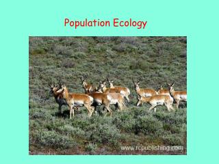 Population Ecology