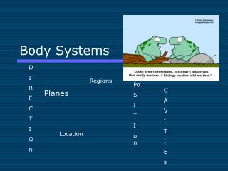 Body Systems