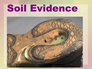 Soil Evidence
