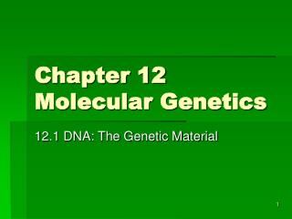 Chapter 12 Molecular Genetics