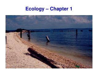 Ecology – Chapter 1