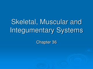 Skeletal, Muscular and Integumentary Systems
