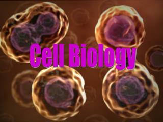 Cell Biology