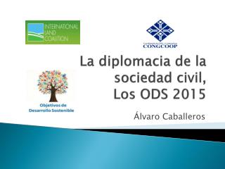 La diplomacia de la sociedad civil, Los ODS 2015