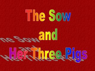 The Sow and Her Three Pigs