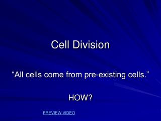 Cell Division