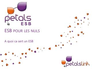 ESB pour les nuls